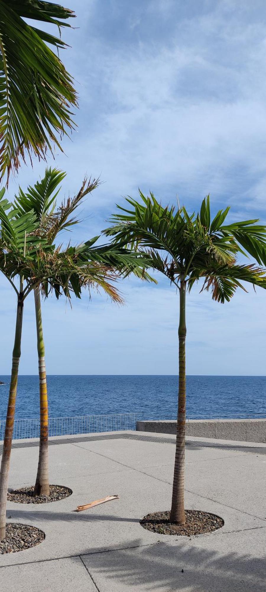 Vivienda Vacacional Atlantida 坎德拉里亚 外观 照片